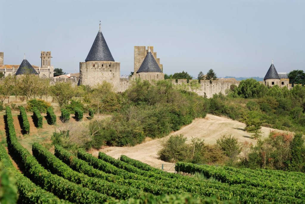 Vines of France: An Oenophile's Journey Through the Wine Regions