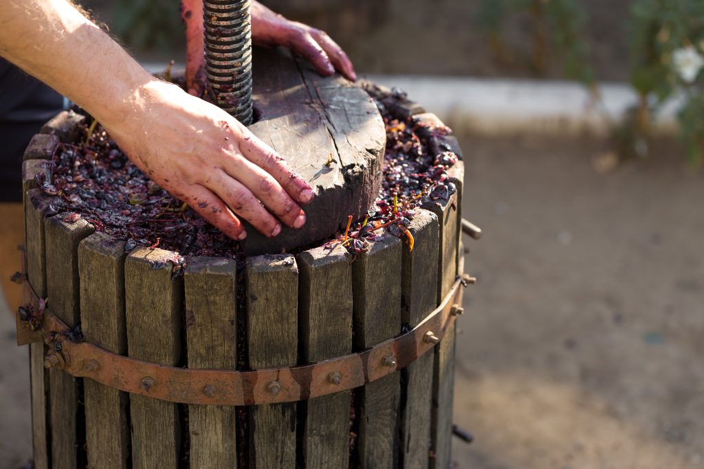 Sustainable Winemaking Practices in Israel Balancing Tradition and Innovation