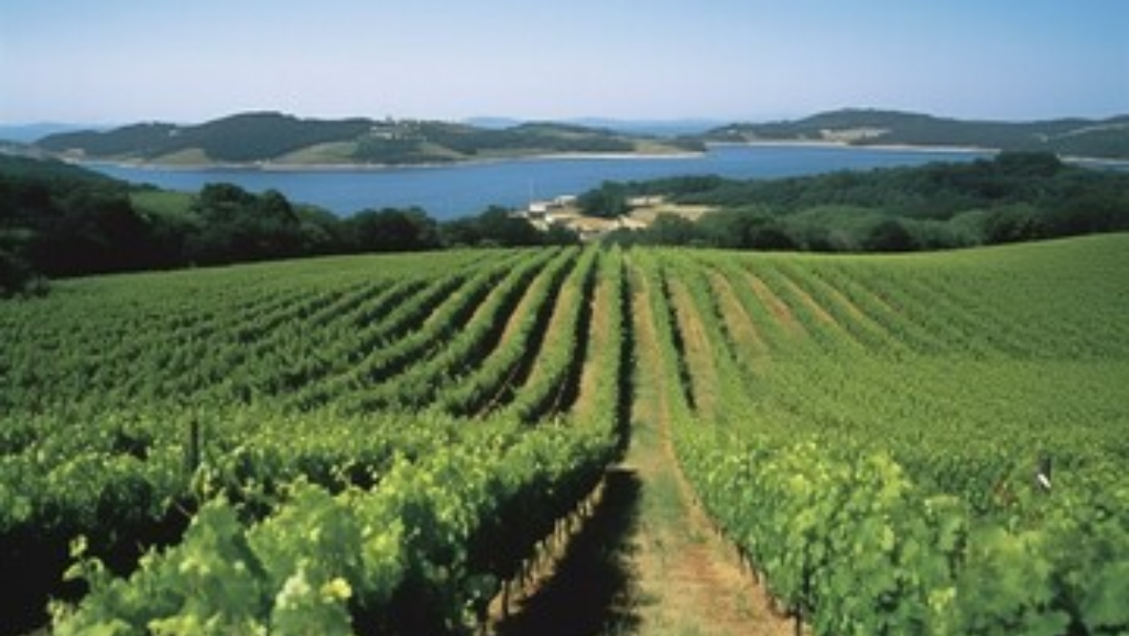 most beautiful english vineyards